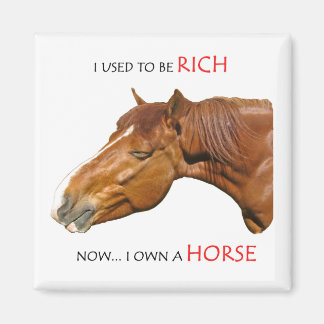 Jag brukade vara rik magnet