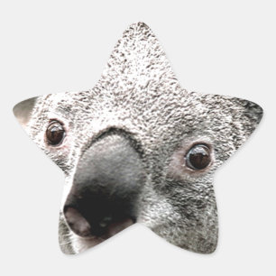 Jag bryr mig_ stjärnformat klistermärke