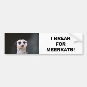 Jag bryter för Meerkats! Bildekal