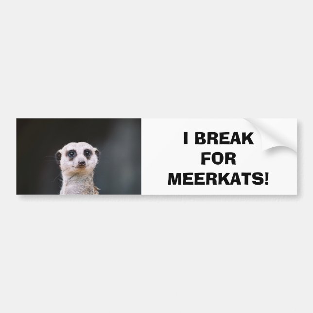 Jag bryter för Meerkats! Bildekal (Framsidan)