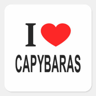 Jag ❤️ CAPYBARAS I KÄRLEK CAPYBARAS I HEART CAPYBA Fyrkantigt Klistermärke