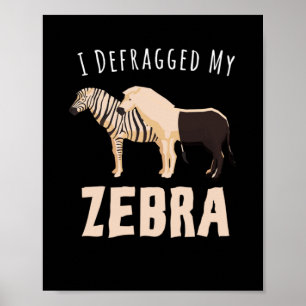 Jag defragmenterade min Zebra Poster
