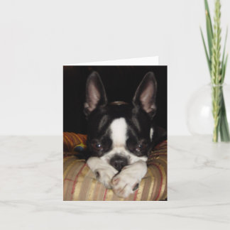 Jag den ledsna förmiddagen noterar kortet kort