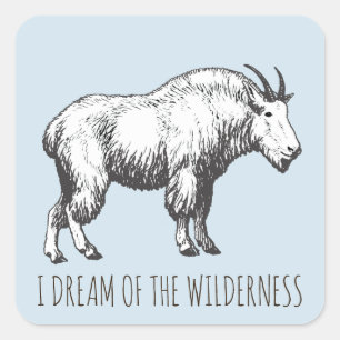 Jag drömde om Wilderness Mountain Goat Fyrkantigt Klistermärke