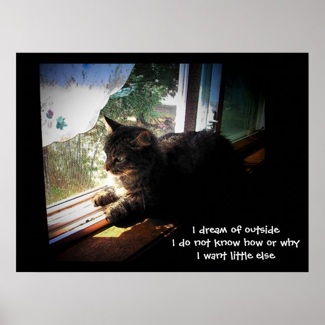 Jag drömmer om Outside haiku Poster (Framsidan)