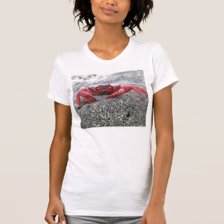 Jag fångade krabbor på Julönen! T-shirt