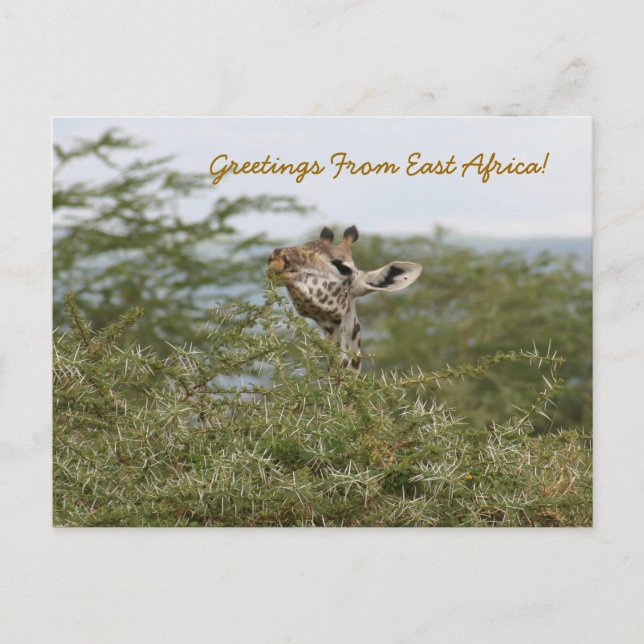 Jag fattar! -Vykort Vykort (Framsida)