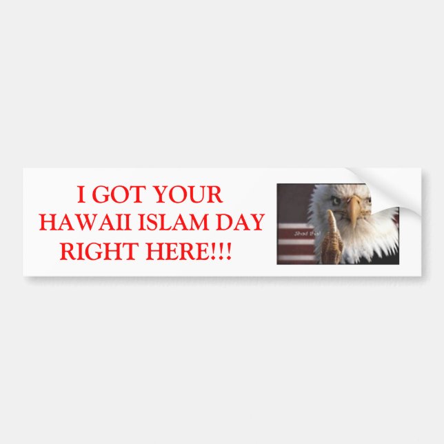 JAG FICK DIN HAWAII ISLAMDAG HÖGER… BILDEKAL (Framsidan)