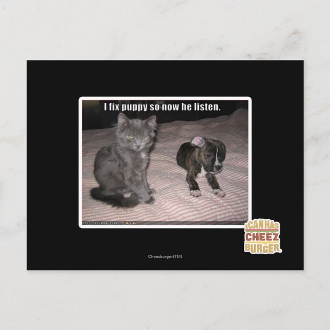 Jag fixar valpen vykort (Framsida)