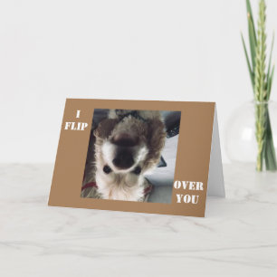 *JAG FLIPPAR ÖVER DIG* PÅ BIRTHDAY VISA HUR MYCKET KORT