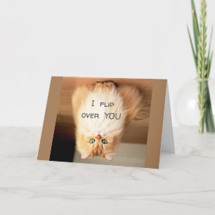 *JAG FLIPPAR ÖVER DIG* PÅ BIRTHDAY VISA HUR MYCKET KORT