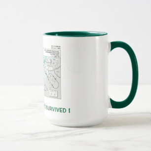Jag flög IGSEN… och överlevde! Mugg