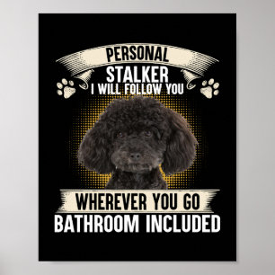 Jag följer efter dig Pudel Älskare S Poster
