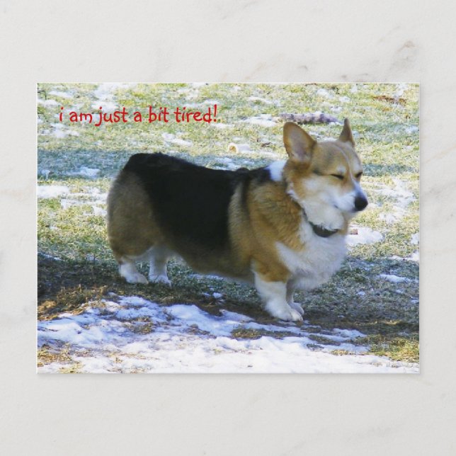 JAG FÖRMIDDAG A BET PRECIS TRÖTT! , HELG VYKORT (Framsida)