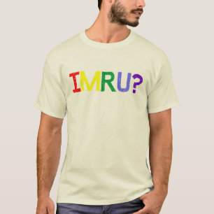 Jag förmiddagen är dig IMRU-regnbågepride Tee