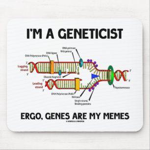 Jag förmiddagen gener för en genetiker är Ergo Musmatta