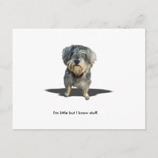 Jag förmiddagen lite men jag vet stuff. vykort