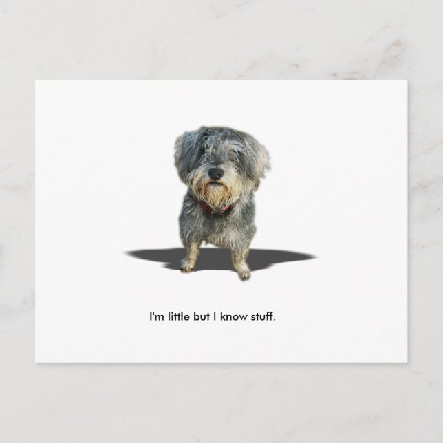 Jag förmiddagen lite men jag vet stuff. vykort (Framsida)