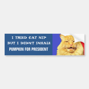 Jag försökte Nip, mig inhalerade inte Meme Bildekal