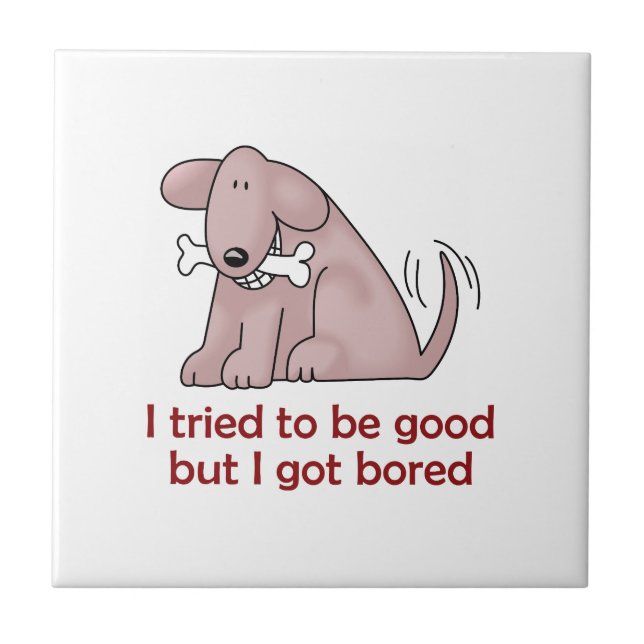 JAG FÖRSÖKTE VARA BRA KAKELPLATTA (Framsidan)