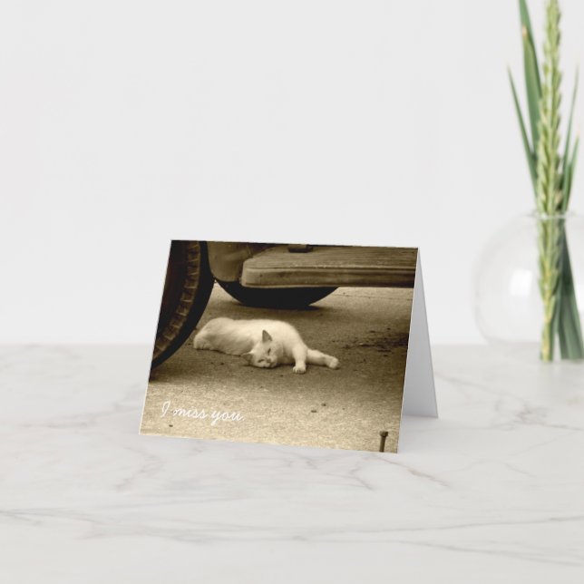 Jag Fröcken dig Card - den ensamma katten Kort (Framsida)