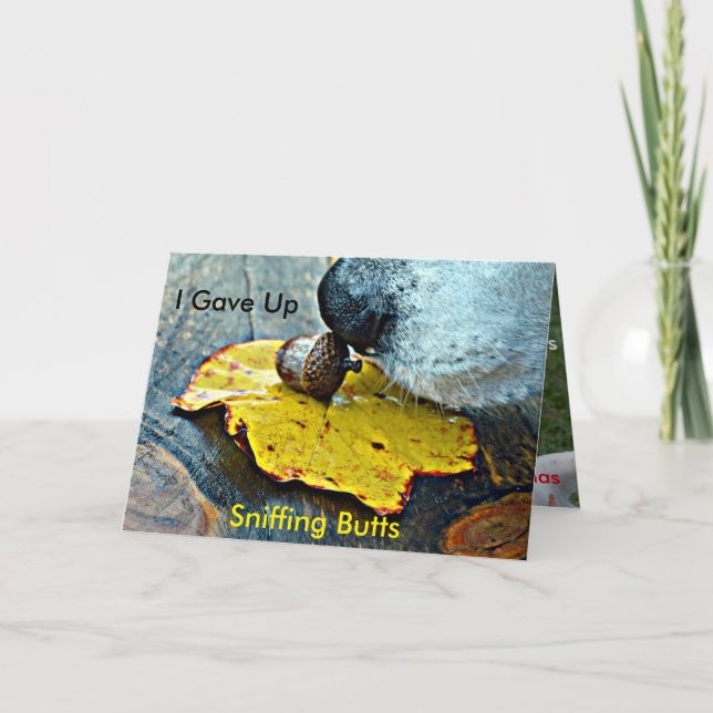 Jag gav upp att sniffa ändajulkortet helgkort (Framsida)