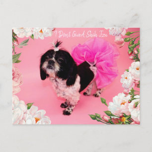 Jag Ge A Shih Tzu Vykort