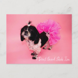 Jag Ge A Shih Tzu Vykort