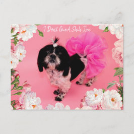 Jag Ge A Shih Tzu Vykort
