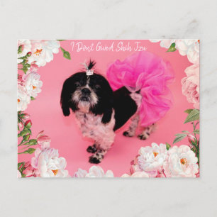 Jag Ge A Shih Tzu Vykort