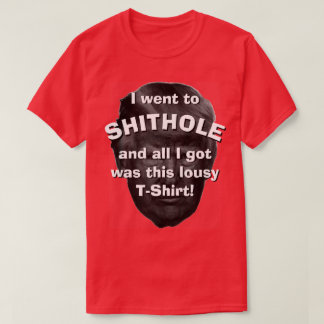 Jag gick till Shithole… T Shirt