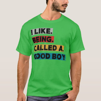 Jag gillar att bli kallad en snäll pojke Roligt dj T Shirt