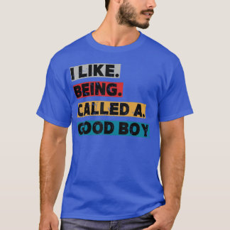 Jag gillar att bli kallad en snäll pojke Roligt fe T Shirt