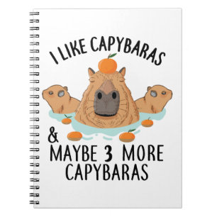 Jag gillar Capybaras och kanske tre människor från Anteckningsbok