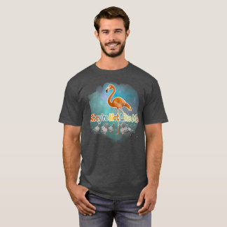 Jag gillar flamingos -De är inte som jag T Shirt