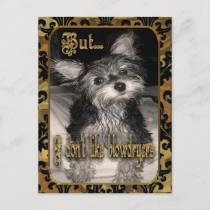 Jag gillar inte hårtorkar Yorkie Vykort