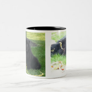Jag gillar min Chows & kaffesvart Två-Tonad Mugg