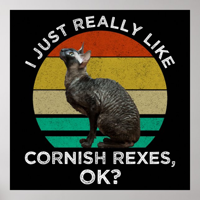 Jag gillar verkligen Cornish Rexar, OK? Poster (Framsidan)