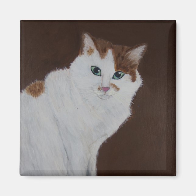 Jag gjorde det inte magnet (Framsidan)