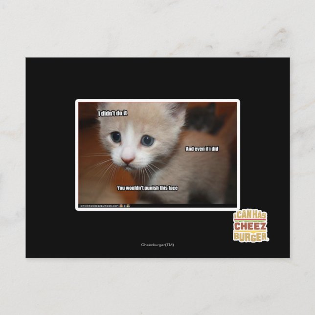 Jag gjorde det inte. vykort (Framsida)