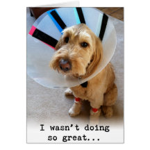 Jag gjorde inte så utmärkt…