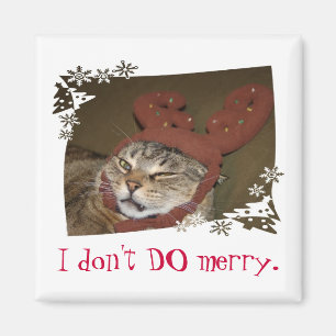 Jag GÖR inte glatt. Katt med horn på Magnet
