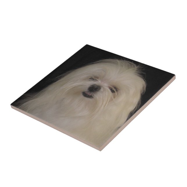 Jag gör inte MALTESE. Kakelplatta (Sidan)