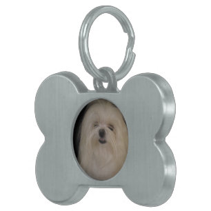 Jag gör inte MALTESE. Namnbricka Husdjur