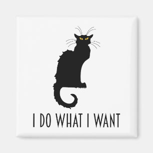 Jag gör vad jag vill ha en luddig Chatta Noir Magnet