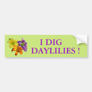 Jag gräver Daylilies Bildekal