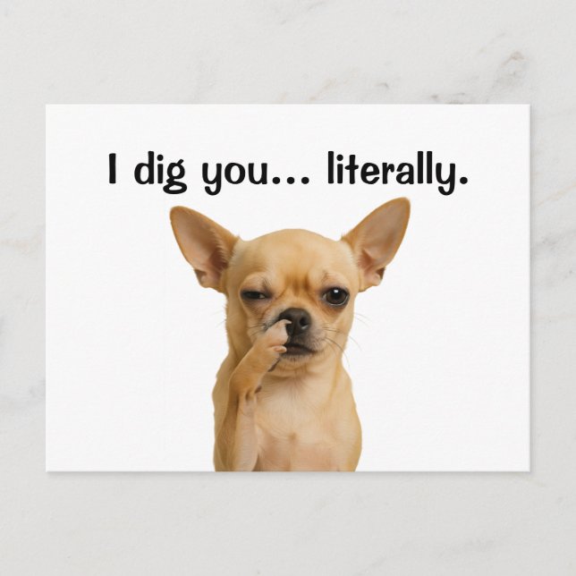 "Jag Gräver dig.. bokstavligt" Chihuahua Funny Helg Vykort (Framsida)