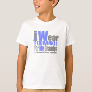 Jag ha på sig vintergrönaen för min Esophageal Tee Shirt
