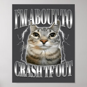 Jag håller på att krascha Rolig starrande katt hjä Poster
