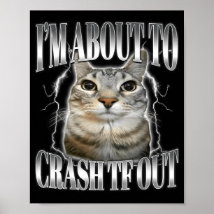 Jag håller på att krascha Rolig stirrande katt hjä Poster